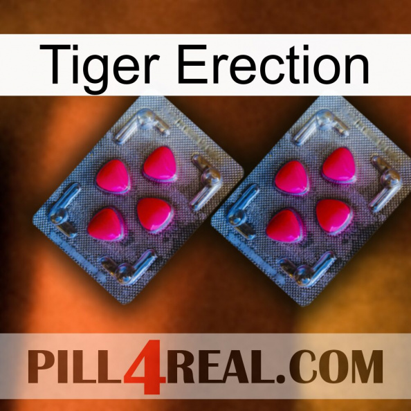 Tiger Erection 14.jpg